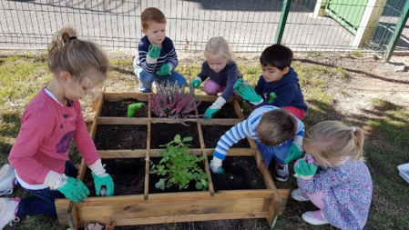 Jardinage d'automne en maternelle Jardinage d'automne en maternelle