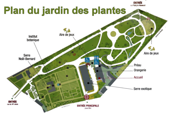 Sortie au Jardin des plantes des GS/CP