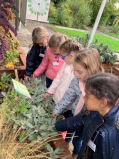 Sortie au Jardin des plantes des GS/CP