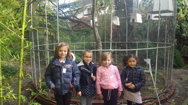 Sortie au Jardin des plantes des GS/CP Sortie au Jardin des plantes des GS/CP