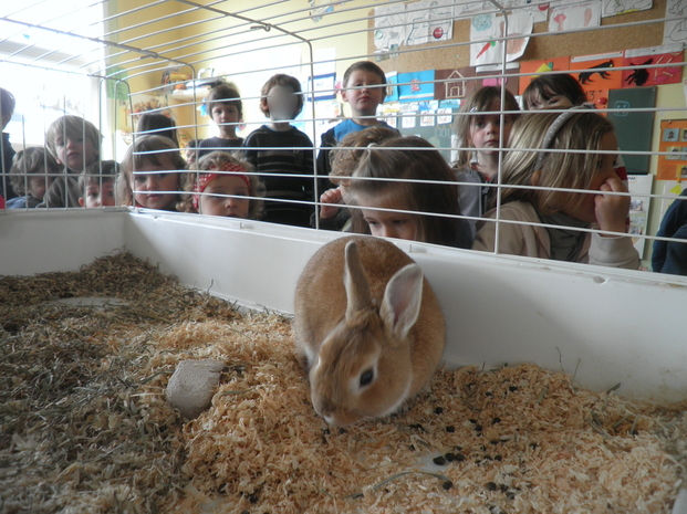 Un invité...tout doux. Un invité...tout doux.