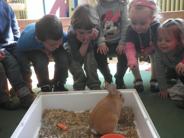 Un invité...tout doux. Un invité...tout doux.