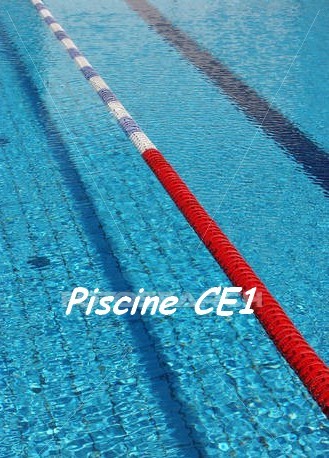 Reprisede la piscine