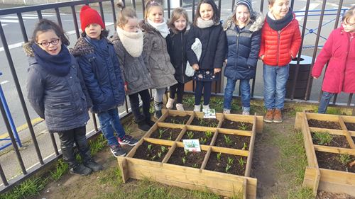 Silence, ça pousse ! Silence, ça pousse !