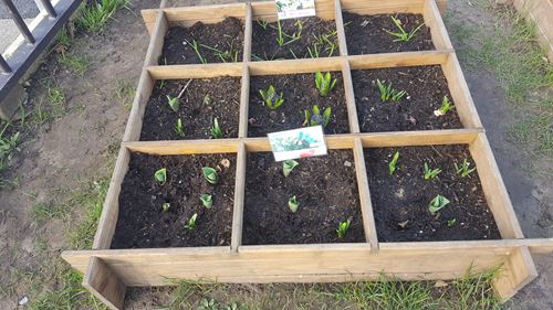 Silence, ça pousse ! Silence, ça pousse !