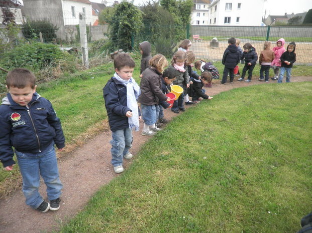 Les escargots Les escargots