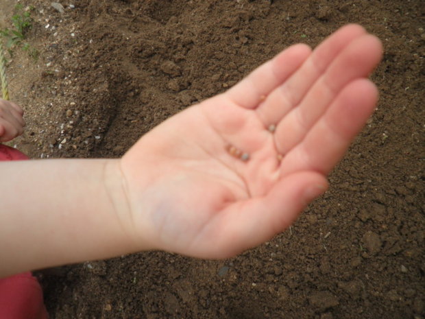 Les petits jardiniers