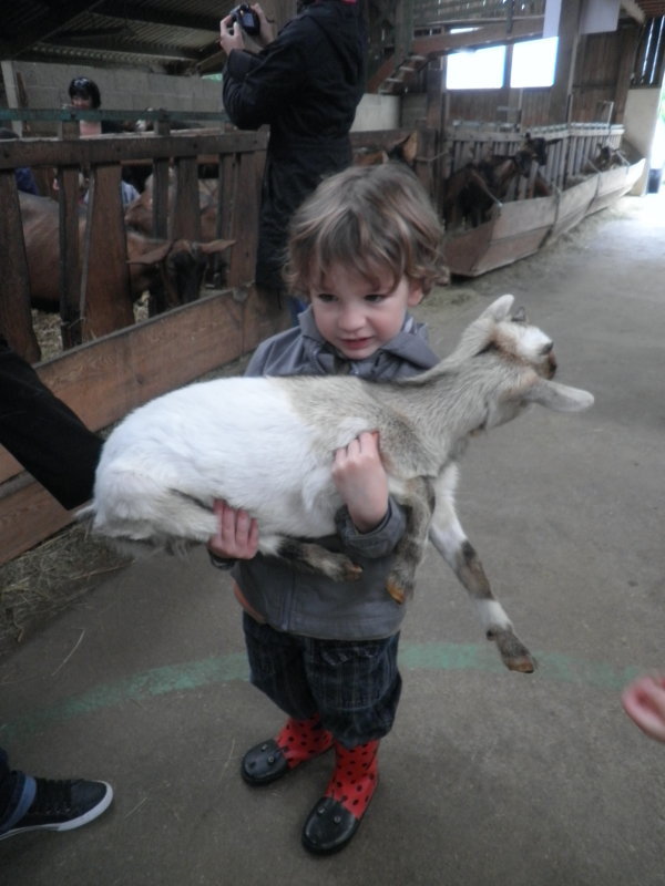 Visite à la chèvrerie.