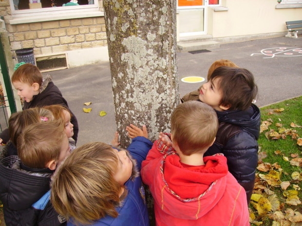 Rentrée d'automne. Rentrée d'automne.