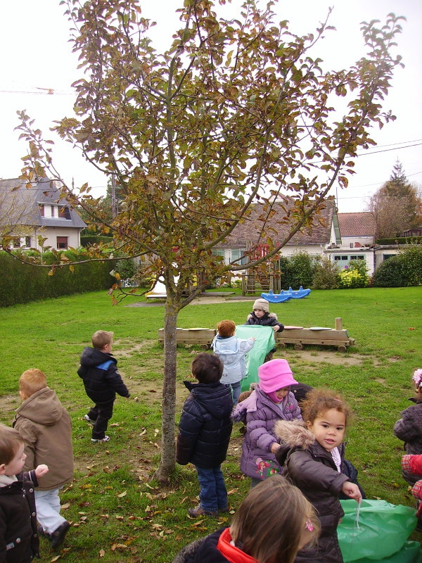 Rentrée d'automne. Rentrée d'automne.