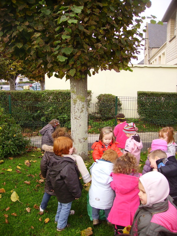 Rentrée d'automne. Rentrée d'automne.