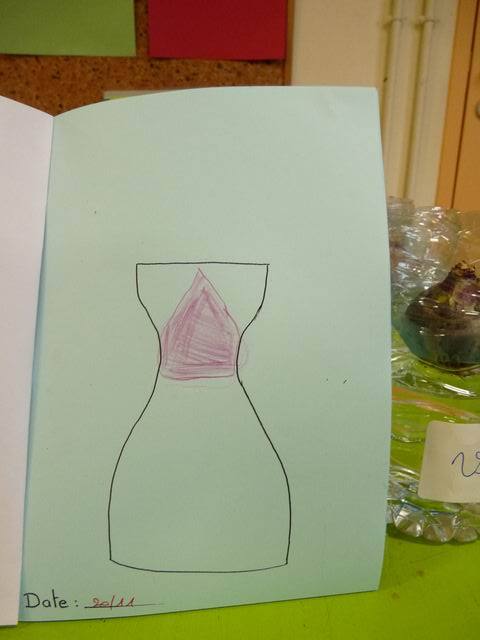 Premier dessin, le jour de la mise en place dans le vase Premier dessin, le jour de la mise en place dans le vase