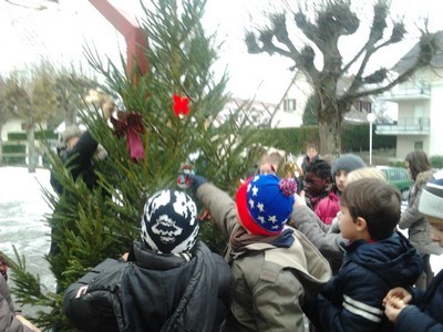 Mon beau sapin ... Mon beau sapin ...