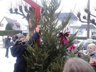 Mon beau sapin ... Mon beau sapin ...