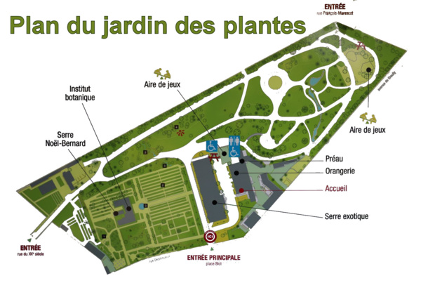 Jardin des plantes de Caen CP