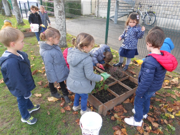 les petites bêtes du jardin de l'école les petites bêtes du jardin de l'école