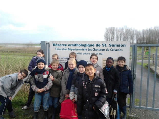 Sortie ornithologique Sortie ornithologique