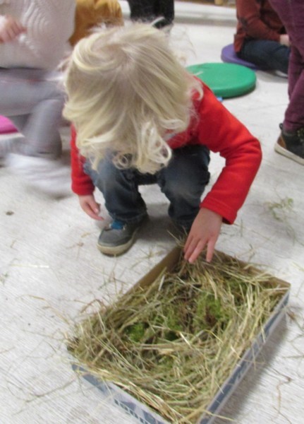 A la découverte des oiseaux ... A la découverte des oiseaux ...