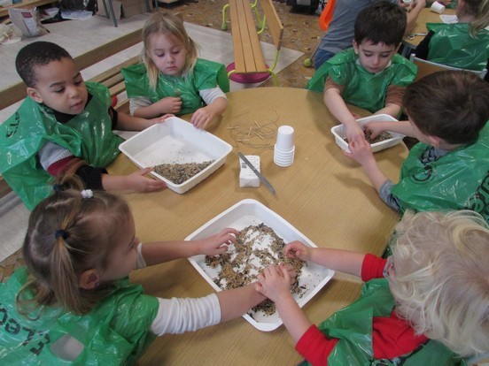 A la découverte des oiseaux ... A la découverte des oiseaux ...