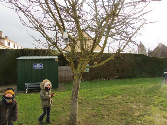 A la découverte des oiseaux ... A la découverte des oiseaux ...