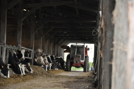 Visite de la ferme