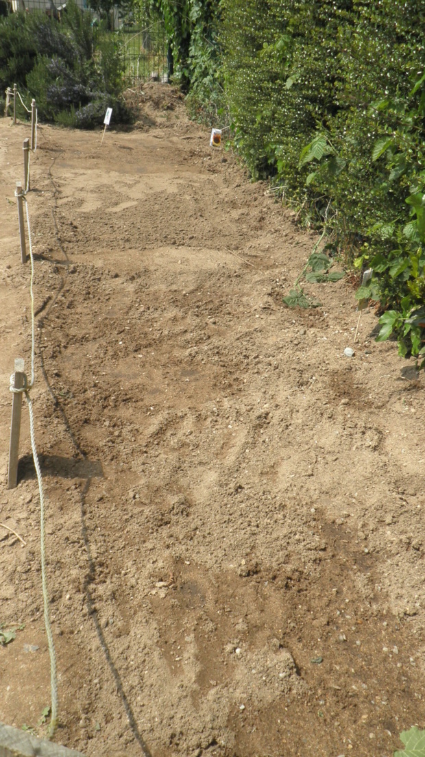 Semaine jardinage en Maternelle