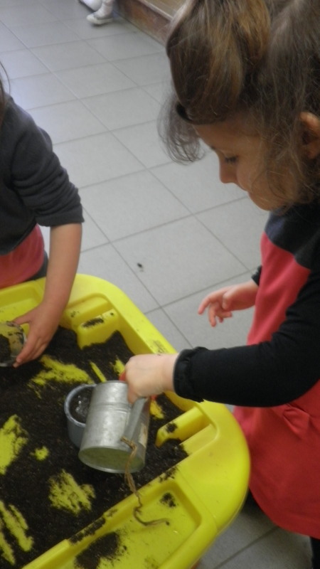 Semaine jardinage en Maternelle