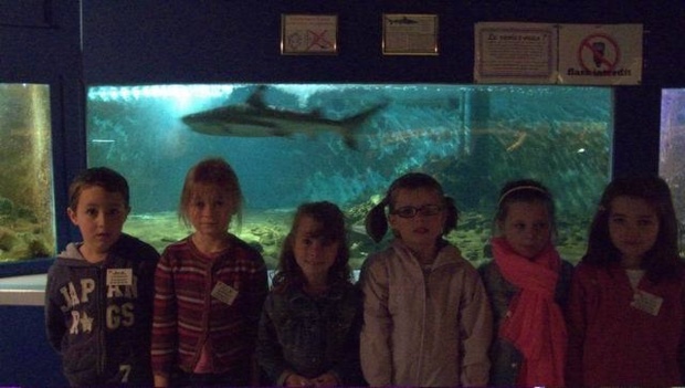 Voyage scolaire à Trouville