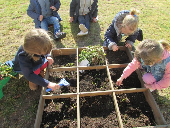 Les petits jardiniers Les petits jardiniers