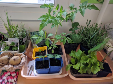 Les GS jardinent ! Les GS jardinent !