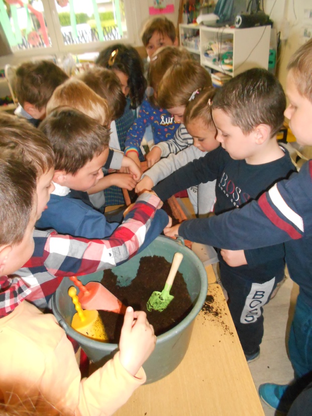 les abeilles et le miel en MS les abeilles et le miel en MS