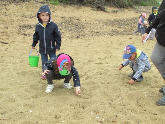 Promenons-nous sur la plage ...