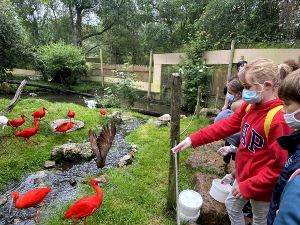 Fin d'année des CM2 Fin d'année des CM2