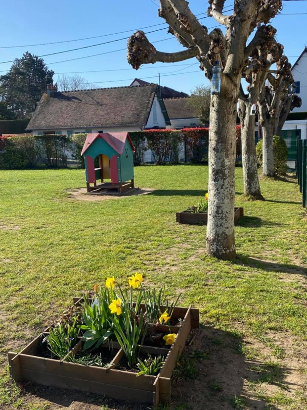 Le mot de la directrice Le mot de la directrice