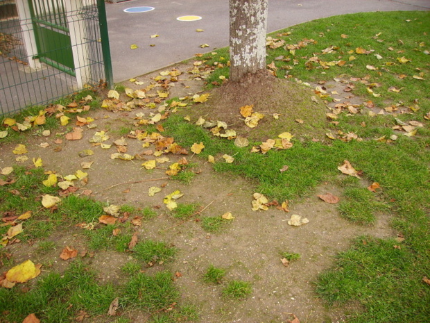 Rentrée d'automne