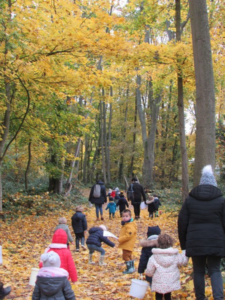 Promenons-nous dans le Bois ... Promenons-nous dans le Bois ...