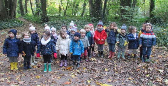 Promenons-nous dans le Bois ...