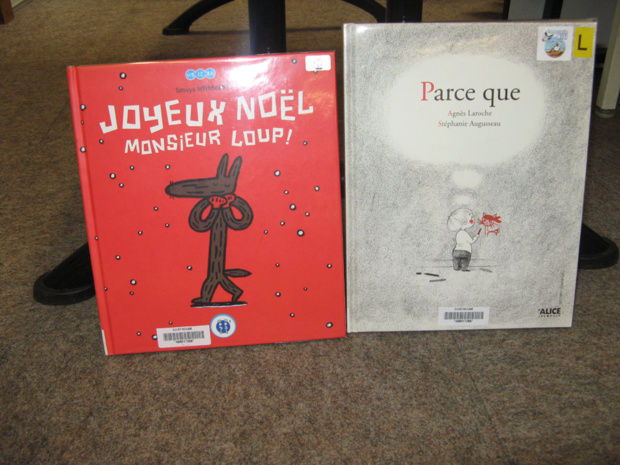 Sortie à la bibliothèque Sortie à la bibliothèque