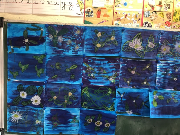 Séance d' art visuel Séance d' art visuel