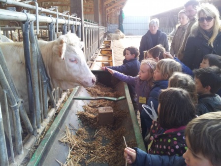 Visite de la ferme Vergy Visite de la ferme Vergy