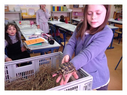 Deux élèves de plus en classe ! Deux élèves de plus en classe !