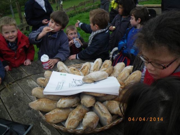 Du pain bio et du fromage de chèvre...miam ! Du pain bio et du fromage de chèvre...miam !