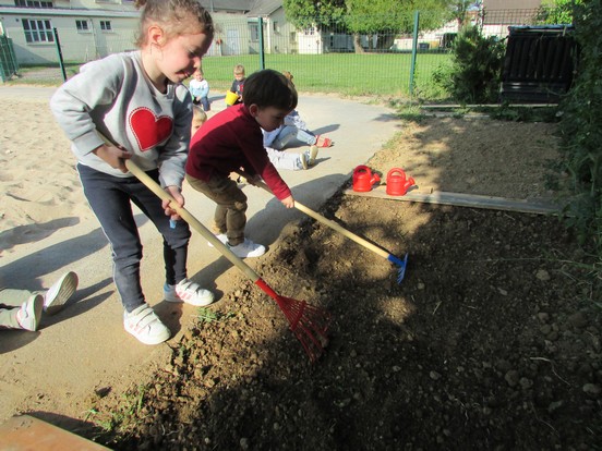 Les petits jardiniers récoltent ! Les petits jardiniers récoltent !