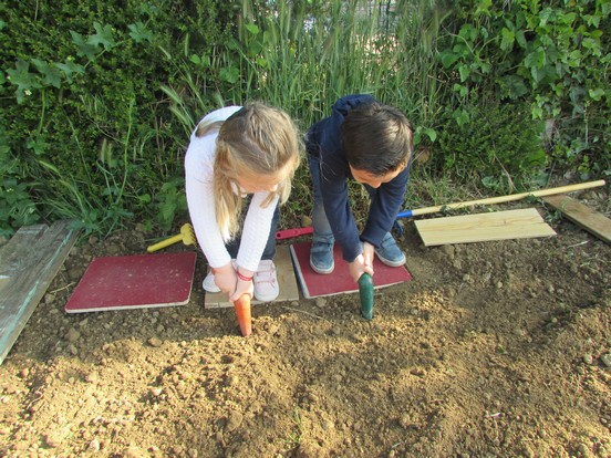 Les petits jardiniers récoltent ! Les petits jardiniers récoltent !