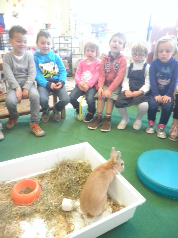 Un invité bien attendu en classe! Un invité bien attendu en classe!