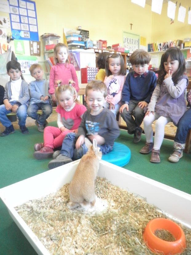 Un invité bien attendu en classe! Un invité bien attendu en classe!