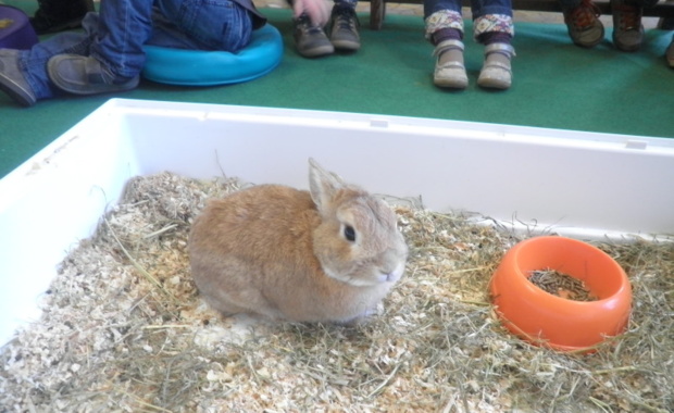 Un invité bien attendu en classe! Un invité bien attendu en classe!