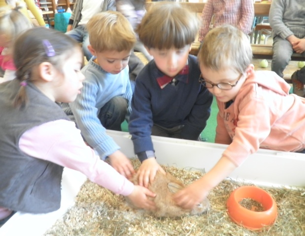 Un invité bien attendu en classe! Un invité bien attendu en classe!
