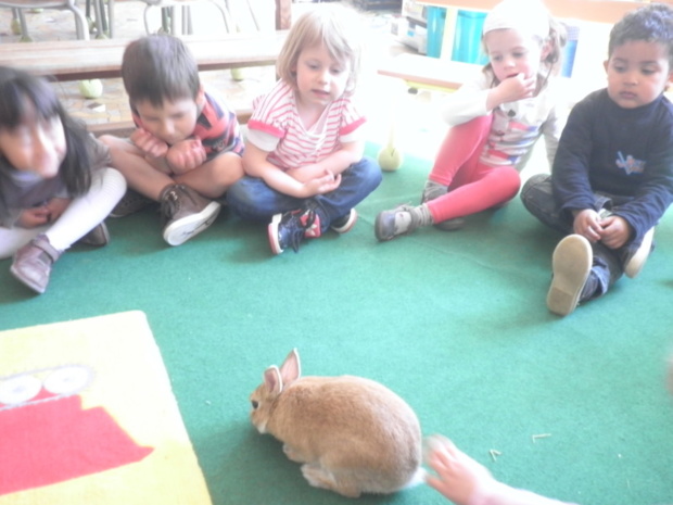 Un invité bien attendu en classe! Un invité bien attendu en classe!