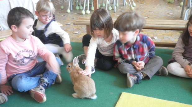 Un invité bien attendu en classe! Un invité bien attendu en classe!